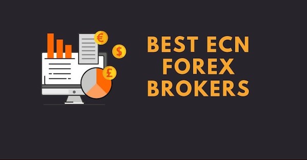 Oltre L'ordinario: tuffarsi nel mondo dei broker Forex ECN